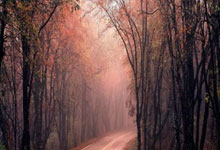 意昂体育：恢复路漫漫！卡瓦哈尔右腿肌肉严重萎缩，比左腿细了一圈.