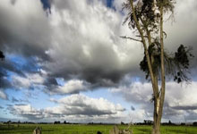 “网球运动已支离破碎” 球员协会提告四大国际网球组织.