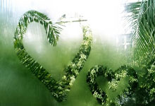 世预赛亚洲区综合：国足将迎“生死战” 伊朗提前出线.